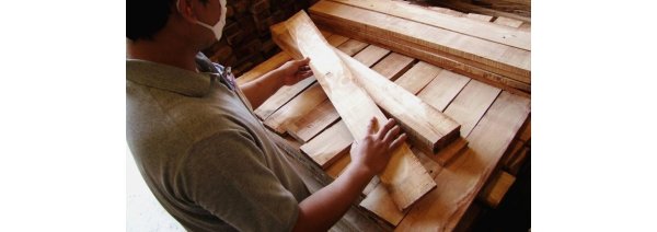 Voila Bredygtigt trlegetj 