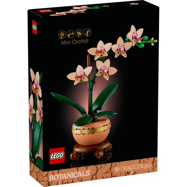 MINI ORKID 10343