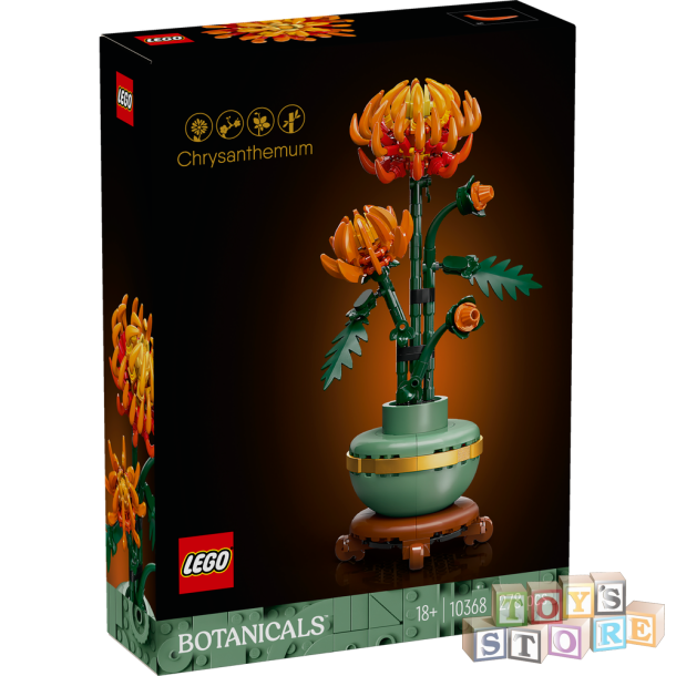 Chrysanthemum 10368