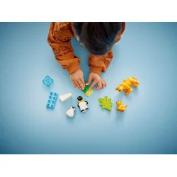 Vilde dyrefamilier: pingviner og lver