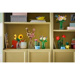 Blomstrende kaktus