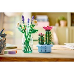 Blomstrende kaktus