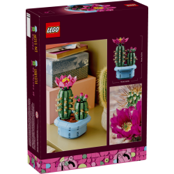 Blomstrende kaktus