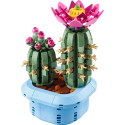 Blomstrende kaktus