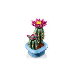 Blomstrende kaktus