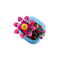 Blomstrende kaktus