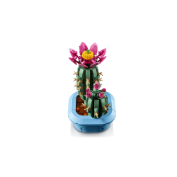 Blomstrende kaktus