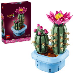 Blomstrende kaktus