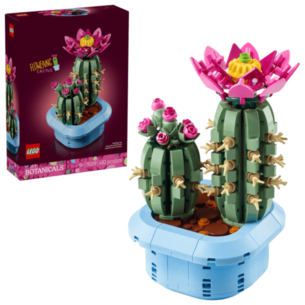 Blomstrende kaktus