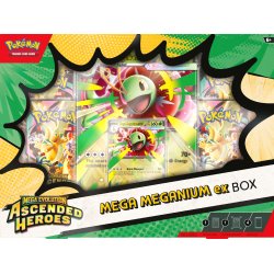 Ascended Heroes - Mega Meganium ex Collection Box 