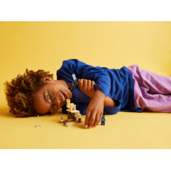 Steves �rkenekspedition