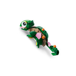 Skildpadde med �kandeblomst