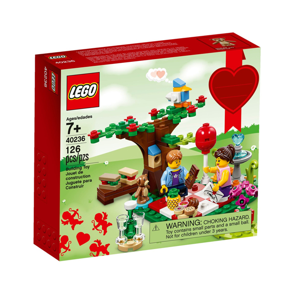 Romantic Valentine Picnic