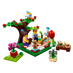 Romantic Valentine Picnic