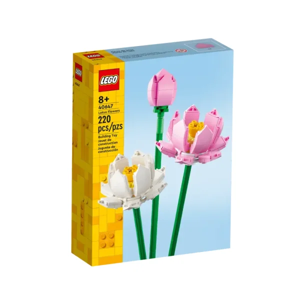 Lotusblomster