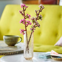 kirsebrblomster 40725