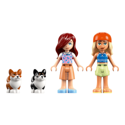 Eventyr med surfende hunde og scooter