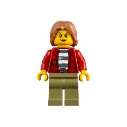 Anholdelse p bjerget