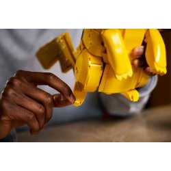 Pikachu og Pok� Ball