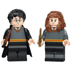 Harry Potter og Hermione Granger