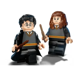 Harry Potter og Hermione Granger