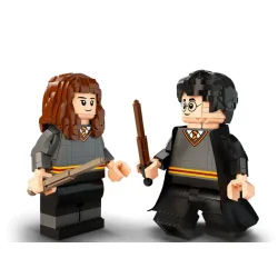 Harry Potter og Hermione Granger