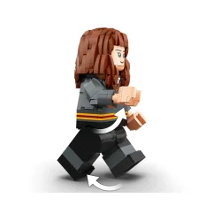 Harry Potter og Hermione Granger