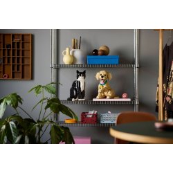 Golden retriever-hvalp