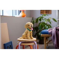 Golden retriever-hvalp