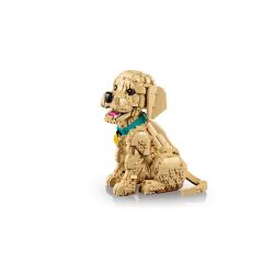 Golden retriever-hvalp