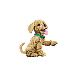 Golden retriever-hvalp