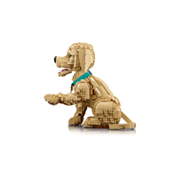 Golden retriever-hvalp