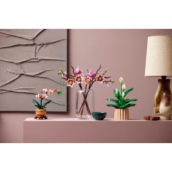 Magnolia-grene