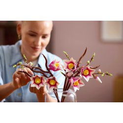 Magnolia-grene