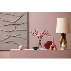 Magnolia-grene