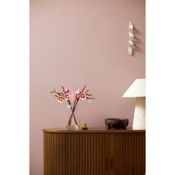Magnolia-grene