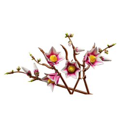 Magnolia-grene
