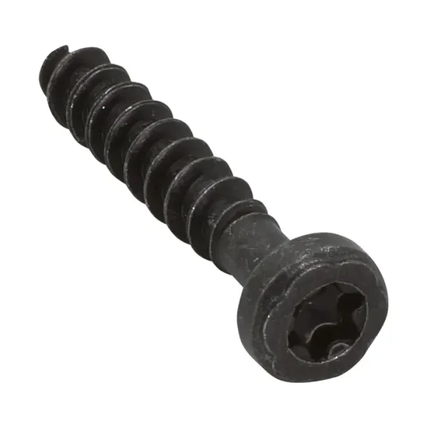 Fuga Skrue Torx 10 med spids til tekniske rammer