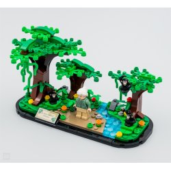 Hyldest til Jane Goodall 40530