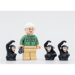 Hyldest til Jane Goodall 40530