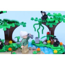 Hyldest til Jane Goodall 40530