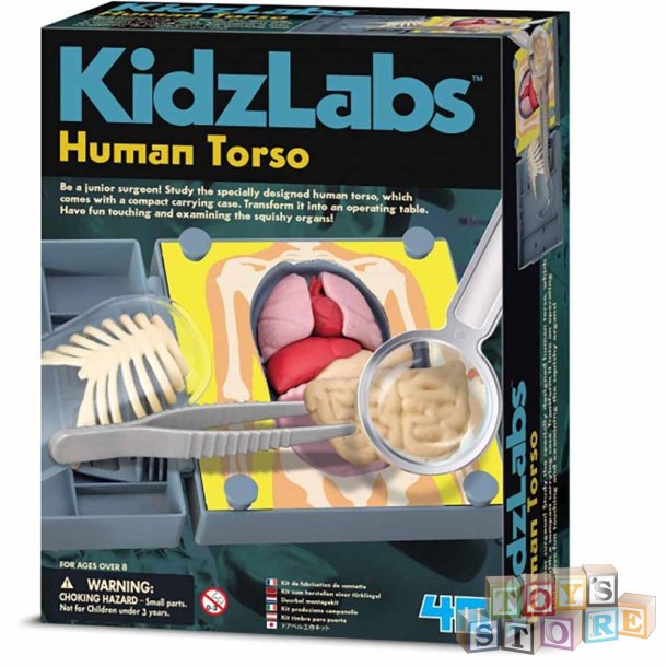 KidzLabs - Menneskekroppens Anatomi  3373