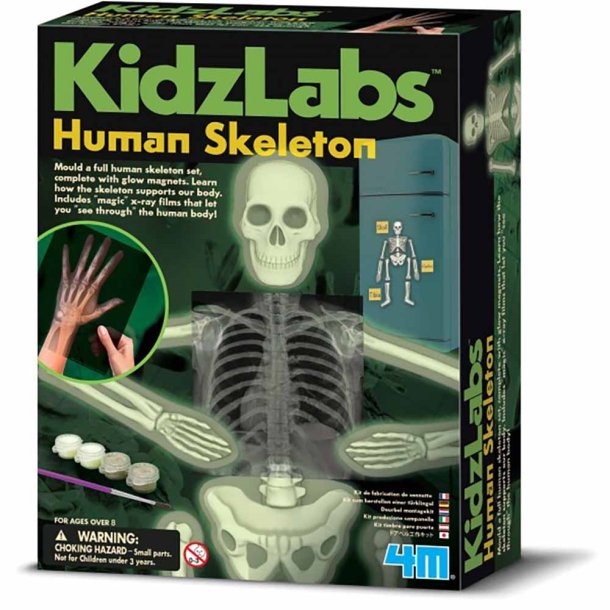 KidzLabs - Selvlysende Menneskeskelet 3375