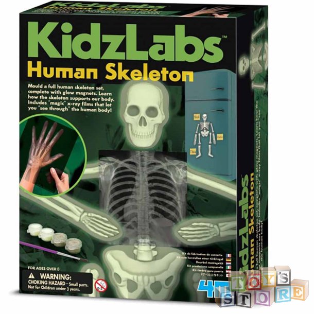 KidzLabs - Selvlysende Menneskeskelet 3375