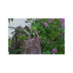 reringe med perle af sten i gammel rosa