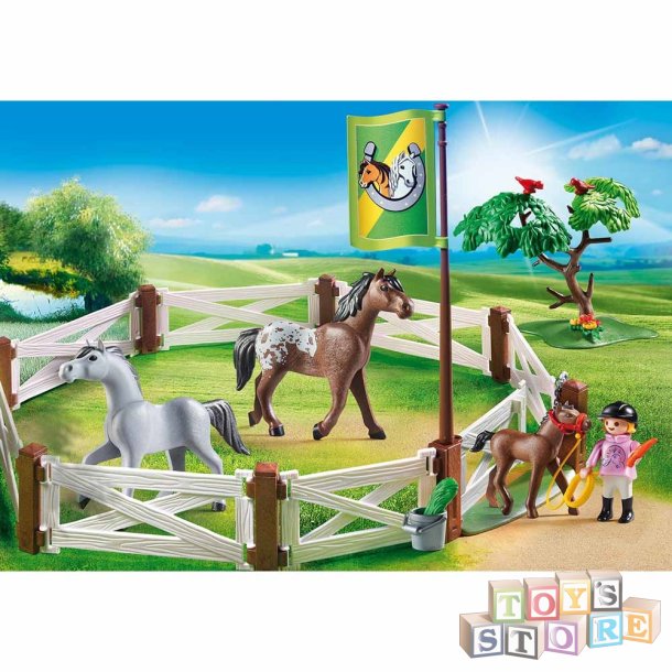 Horse Paddock 6931