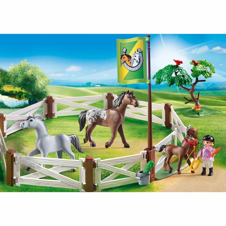 Horse Paddock 6931