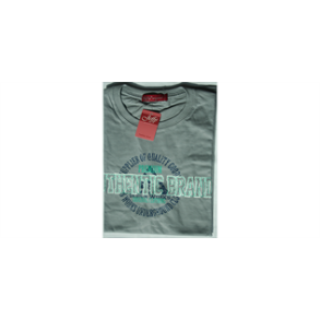 Herre t-shirt lysegr